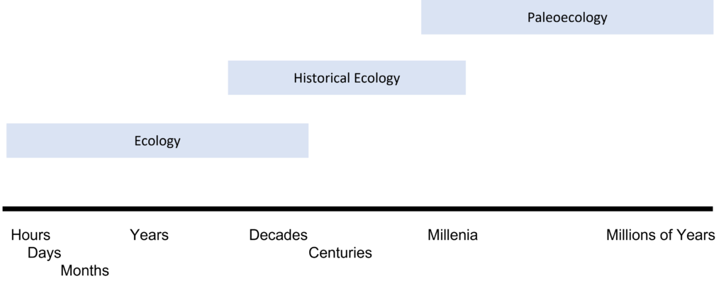 Overlap in time periods of "Ecology," "Historical Ecology," and "Paleoecology." Ecology spans hours to decades, historical ecology spans decades to millenia, paleoecology spans millenia to millions of years