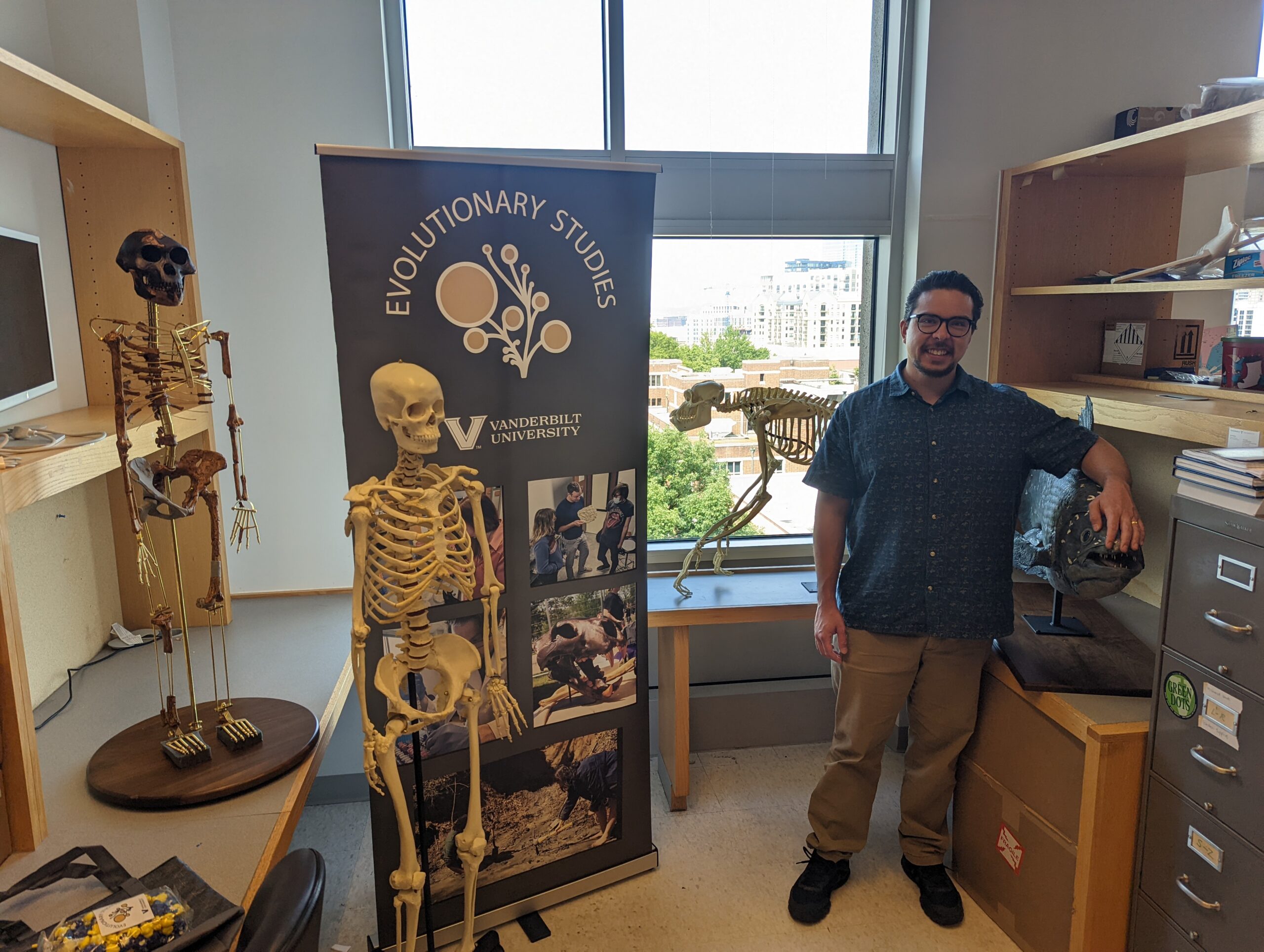 Lucy the hominid, a human skeleton, a chimp skeleton and a coelacanth (all casts) pose with Gianni Castiglione next to the Evolutionary Studies banner.