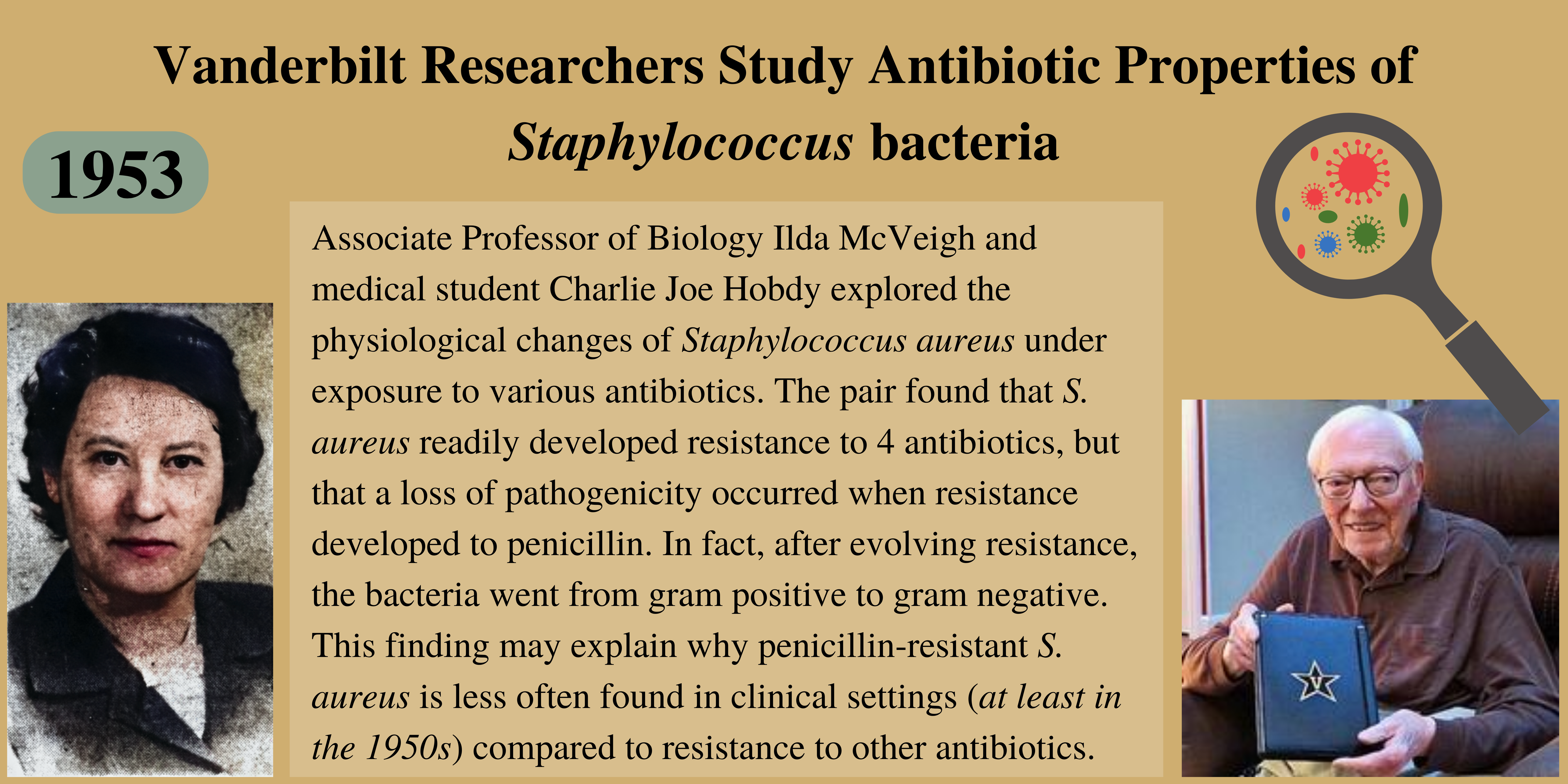 A press release of Ilda McVeigh's work from the 1950s with the late Charlie Joe Hobdy, a medical student at the time. They studied antibiotic resistance of Staphylococcus aureus.