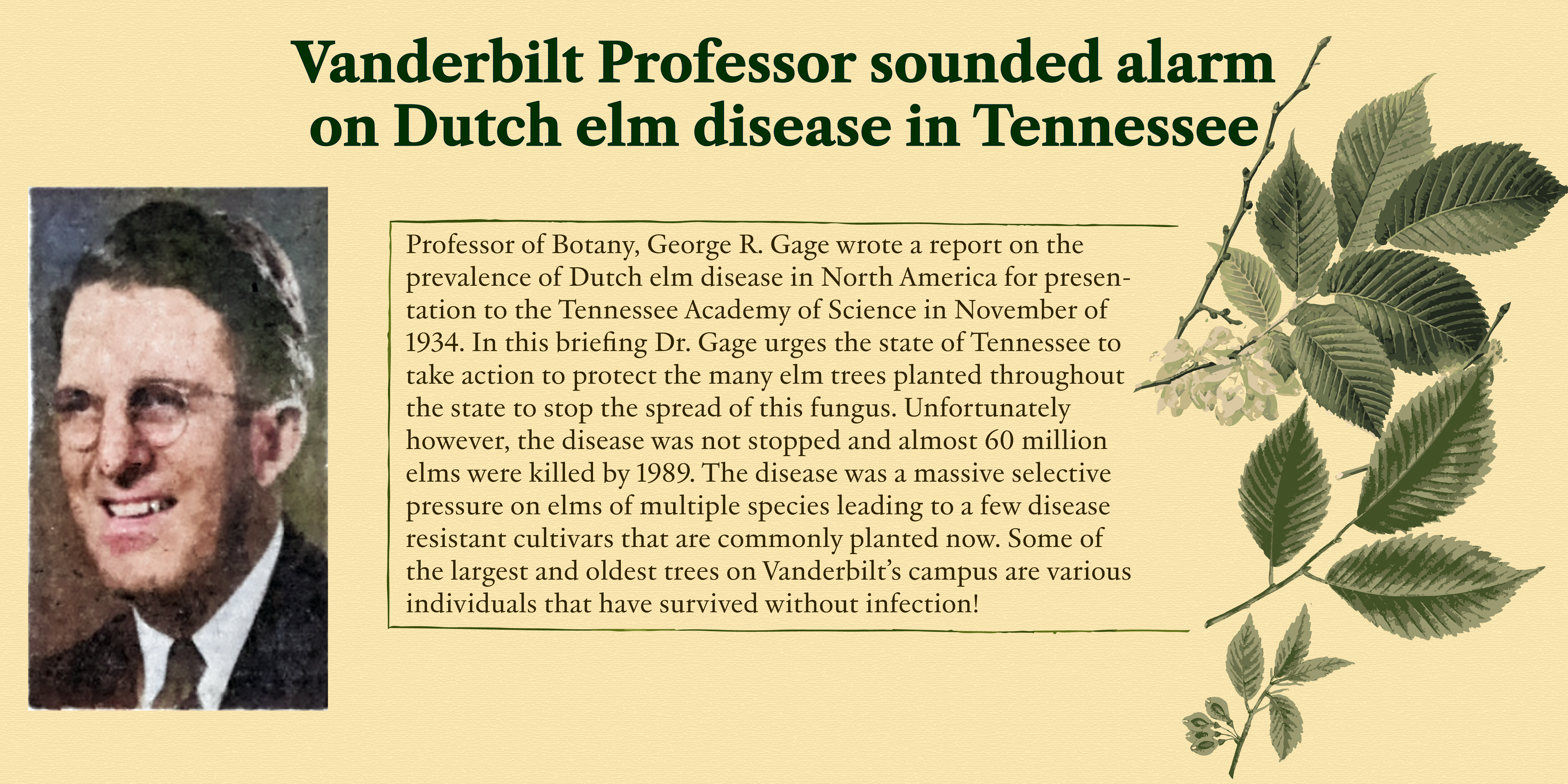 A press release of George Gage's work if it were written today warning of Dutch elm disease - an outbreak that would eventually kill millions of Tennessee trees.