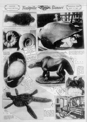 A vintage newspaper page titled "Nashville Banner" featuring various black-and-white images of fossils and prehistoric artifacts. The images include a large turtle shell, a coiled shell, a large skull, a model of a prehistoric mammal, a large fish, a dinosaur model, and several fossilized bones. Text annotations describe the artifacts in detail. Alt-text provided by ChatGPT