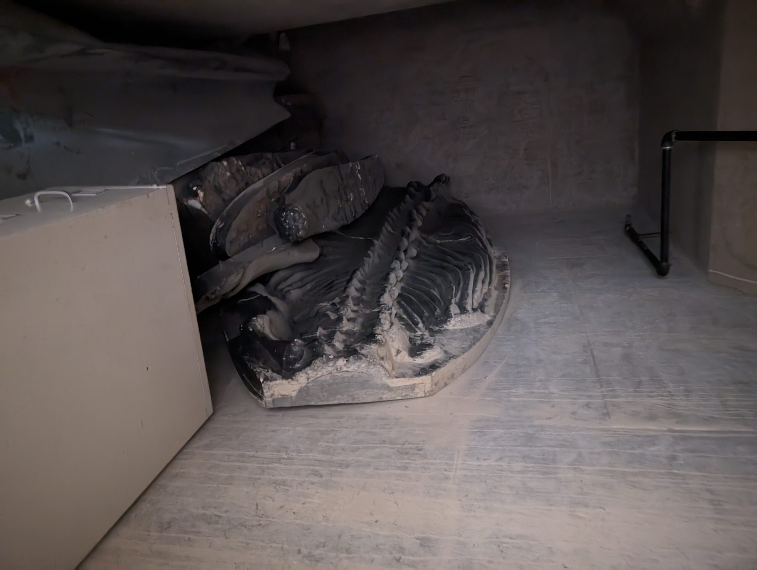 Photograph of a dark and dusty storage area containing large fossilized bones arranged in a disorganized manner. The bones, likely from a prehistoric creature, are covered in a layer of dust and are stacked against the back wall, partially obscured by other objects. A metal pipe and a beige cabinet are visible to the left of the bones. Alt-text generated by ChatGPT