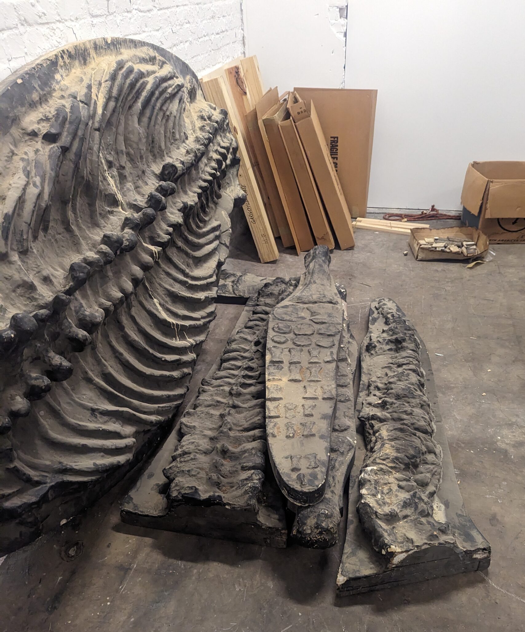 Photograph of a storage area with large fossilized bone casts arranged on the floor. The bones, from a plesiosaur, are covered in dust and placed against a white brick wall. Several wooden planks and cardboard boxes are stacked nearby. The concrete floor and sparse surroundings give the impression of a storage space.