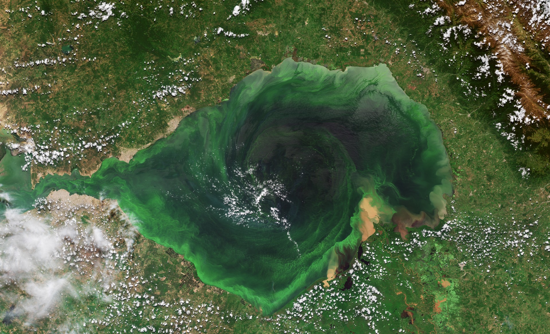 A satellite image showing a large, swirling green bloom in Lake Maracaibo, Venezuela. The water has varying shades of green, indicating algal growth, surrounded by a landscape of green vegetation, patches of brown land, and some clouds. The scene captures a dynamic, circular movement in the lake's waters.