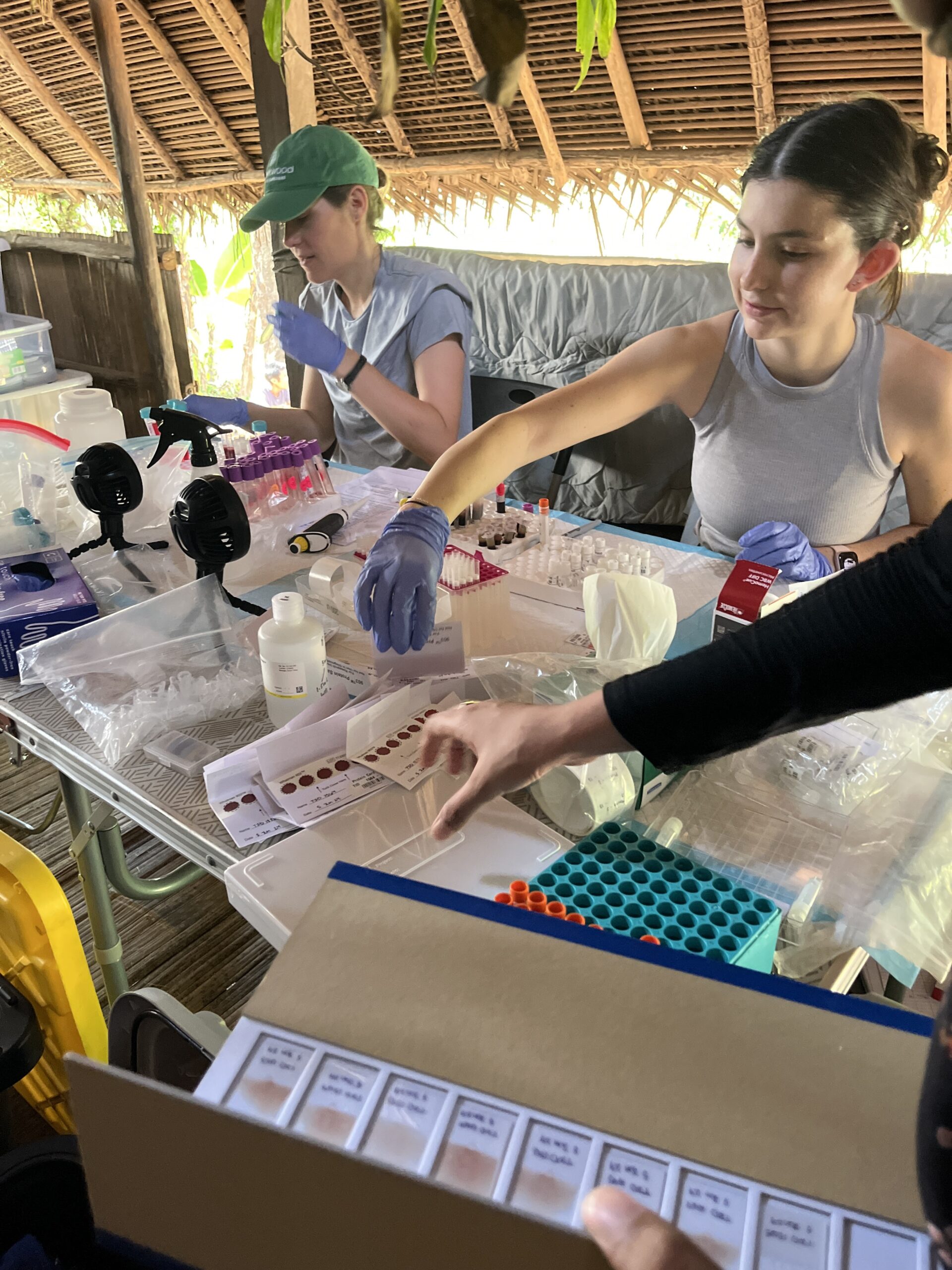 Two researchers are working in an outdoor lab setup under a thatched roof. The workspace is filled with scientific equipment, test tubes, pipettes, and sample containers. One researcher is wearing a green cap and gloves, concentrating on handling samples, while the other, in a gray tank top, is reaching for a container. A hand holding a box with sample slides is visible in the foreground.