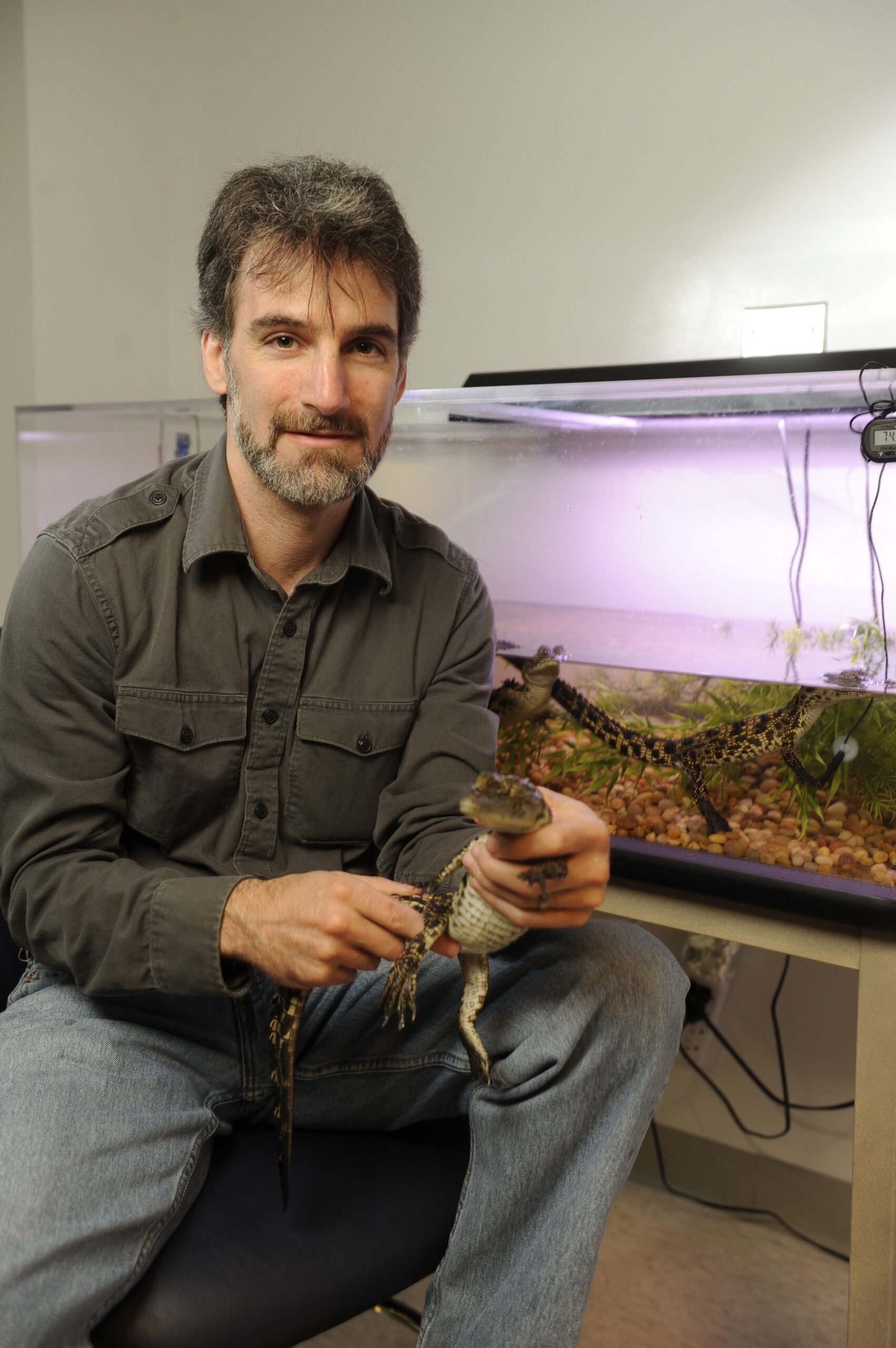 Ken Catania crouching in a tan shirt and jeans holding a baby alligator with a terrarium in the background