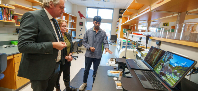 Giant Ground Sloth Extinction Led to Loss of Ecological Services