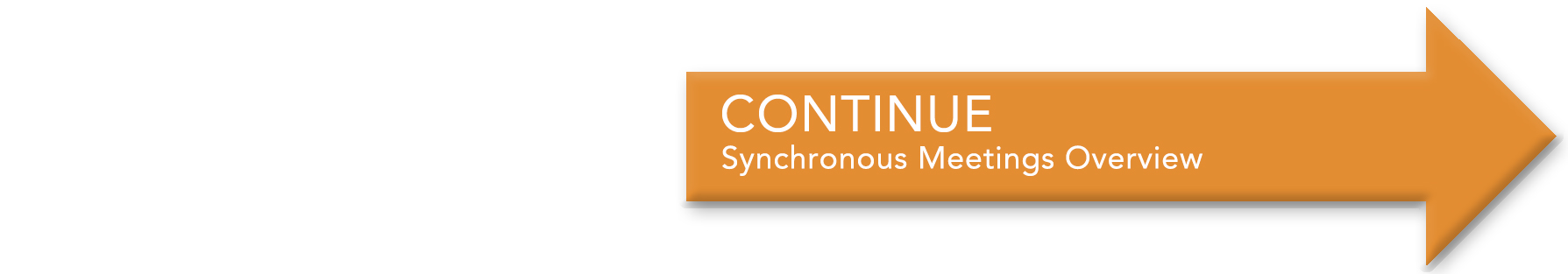 continue to Synchronous Meetings Overview