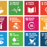 sustainability goals of the UN
