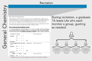 LAs can facilitate discussion sections.