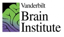 Vanderbilt Brain Institute | Office Of The Provost | Vanderbilt University