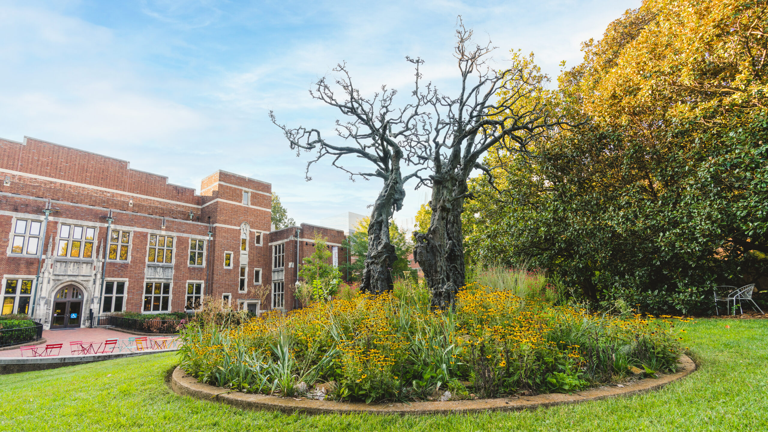 Tree of Learning