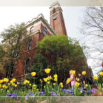spring flowers blooming in front of campus building