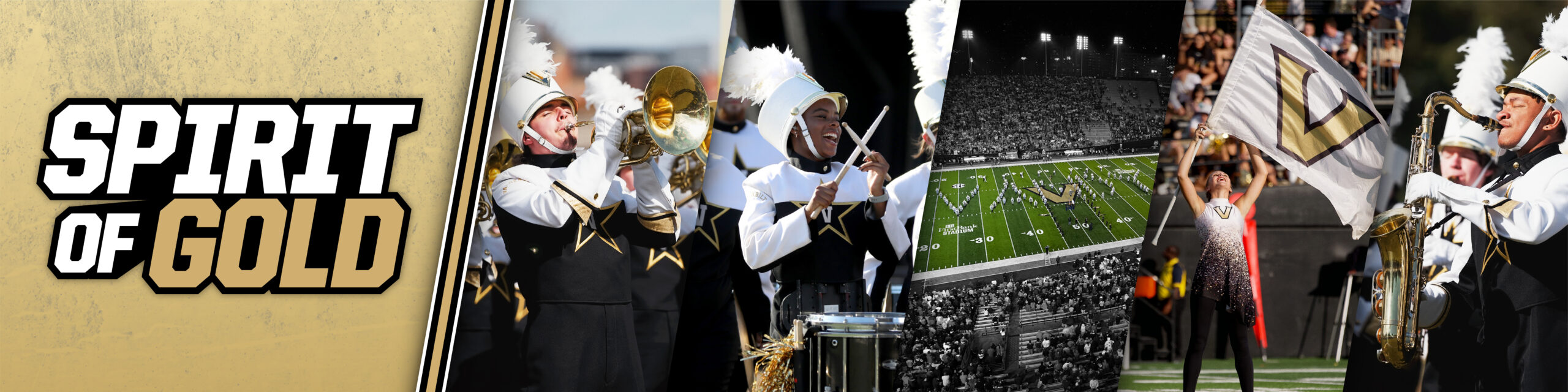 The Spirit of Gold Marching Band