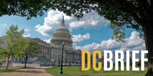 DCbrief header image