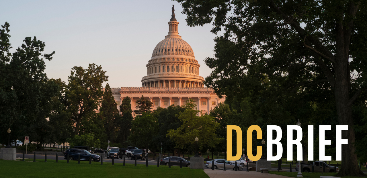 DCbrief header image