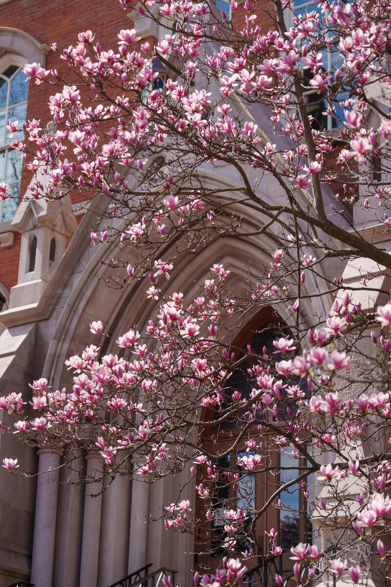 Spring scenes around the Vanderbilt campus