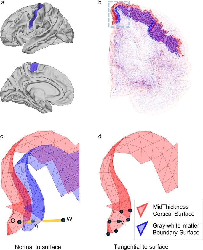 Vanderbilt University