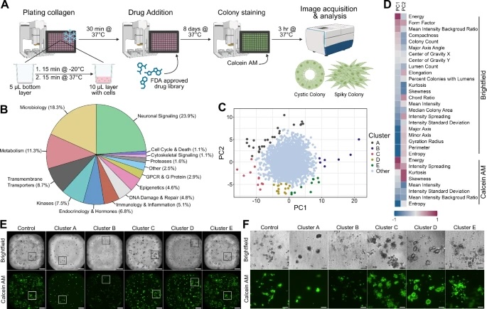 Vanderbilt University