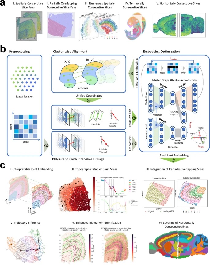 Vanderbilt University