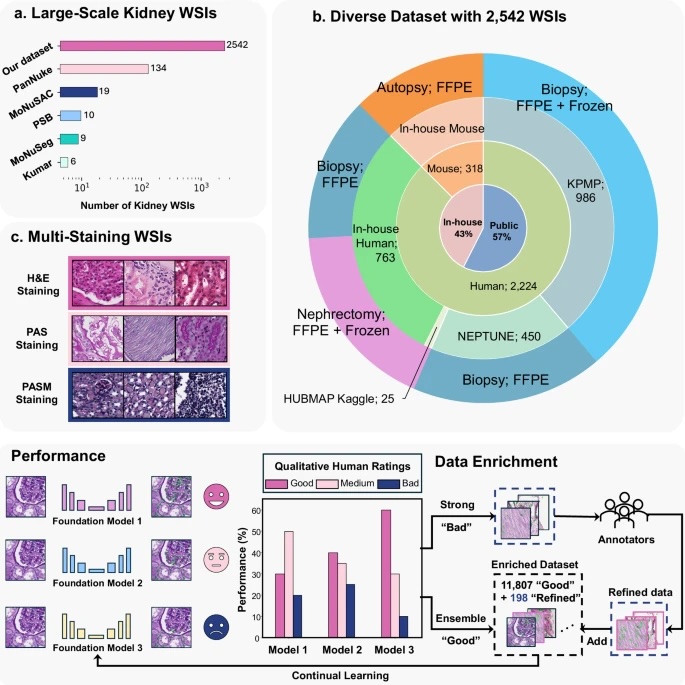 Vanderbilt University