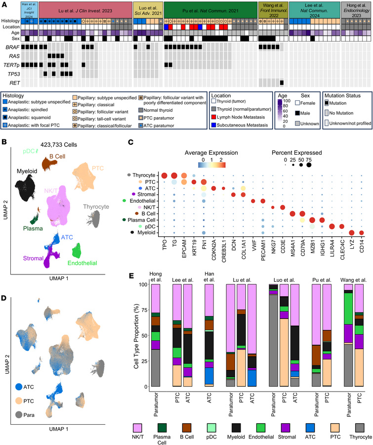 Vanderbilt University