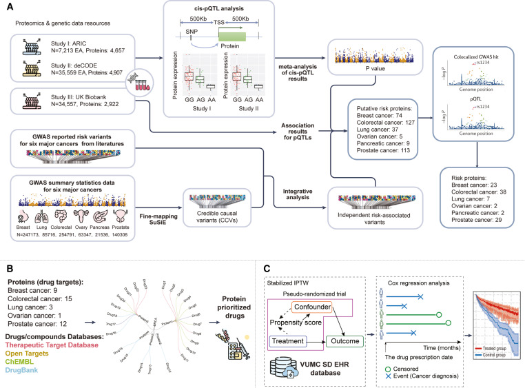 Vanderbilt University