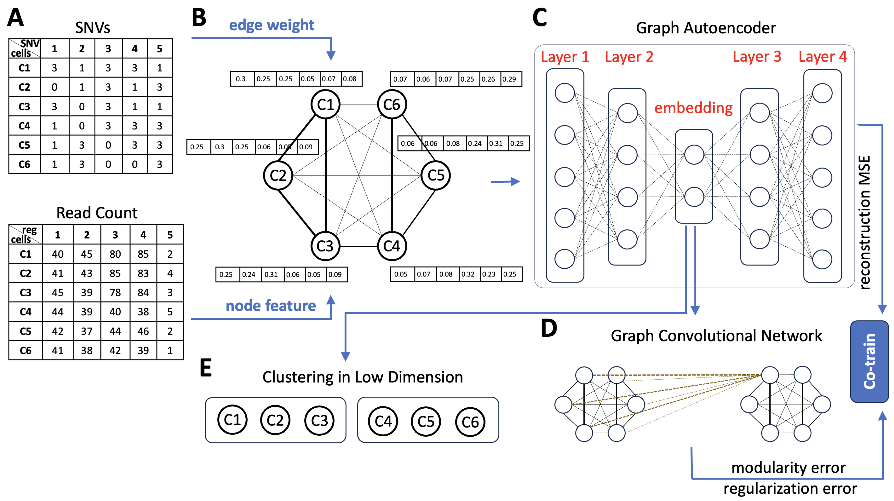 Vanderbilt University