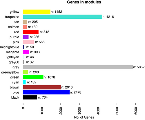 Vanderbilt University