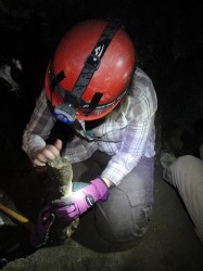 Jessica Oster working in White Mountain Cave. (Jessica Blois)