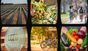 WATCH: 5 sustainability efforts you may not know about at Vanderbilt (Part Two)