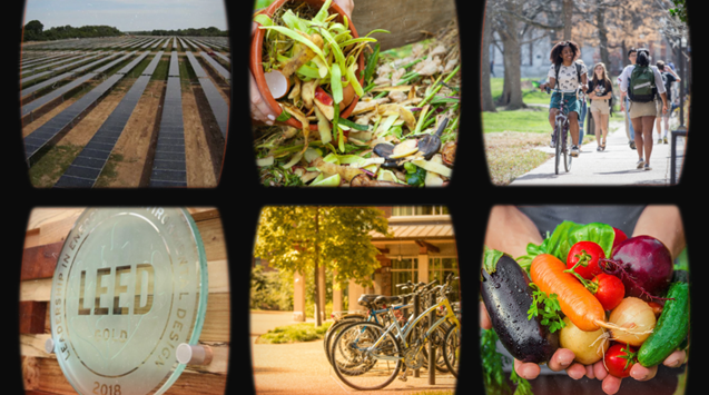 WATCH: 5 sustainability efforts you may not know about at Vanderbilt ...