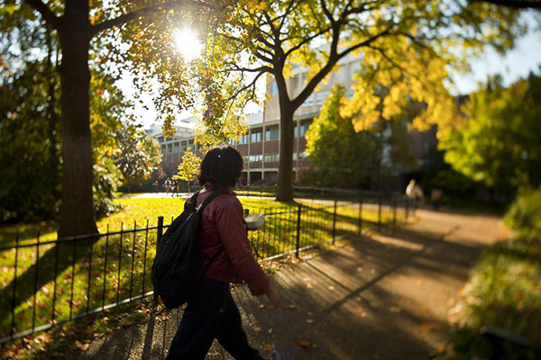 college essay advisors vanderbilt