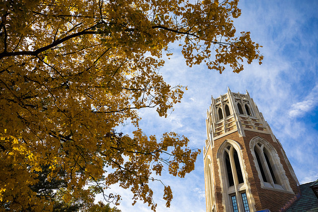 A Diamond for Valentine's Day  The Vandy Admissions Blog