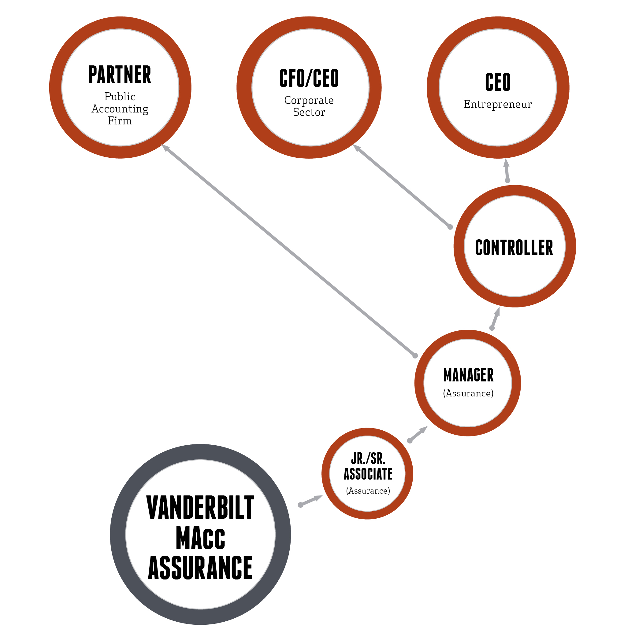 MAcc Assurance Career Paths Graphic