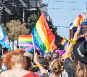This image shows people marching in a parade with Pride flags. 