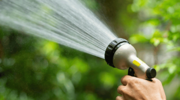 Pictured: A hand is shown holding a watering hose that is spraying greenery.