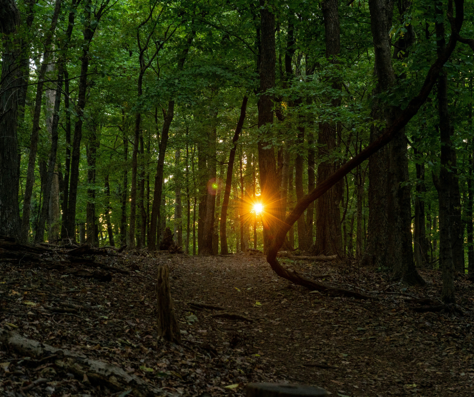 Radnor Lake State Park — popular student hiking spot