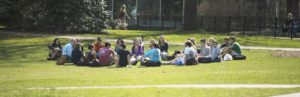 study group sitting on campus lawn