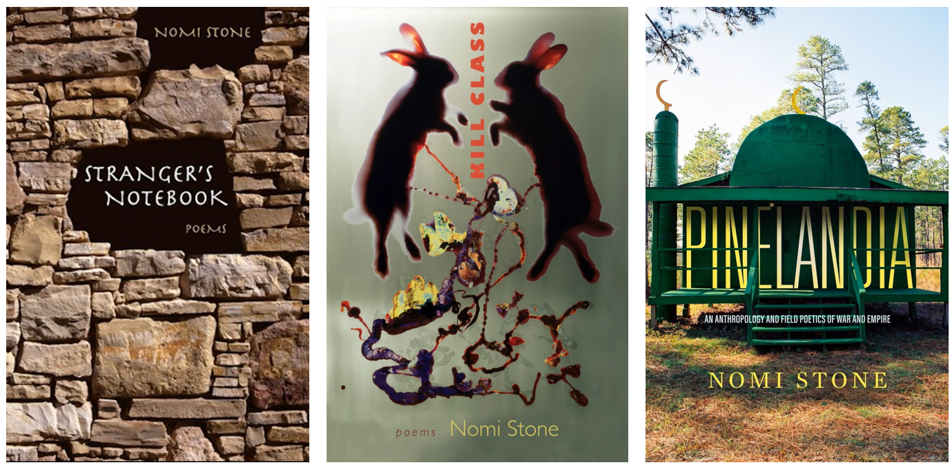 images of Nomi Stone's books