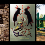 images of Nomi Stone's books