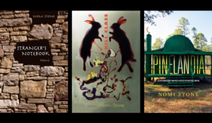 Poet and anthropologist Nomi Stone features as H. S. Vanderbilt Series speaker -  November 14