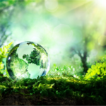 Glass globe on layer of green moss on dirt in forest