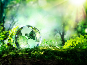 Glass globe on layer of green moss on dirt in forest