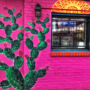 A pink brick wall with a cactus painted on it.