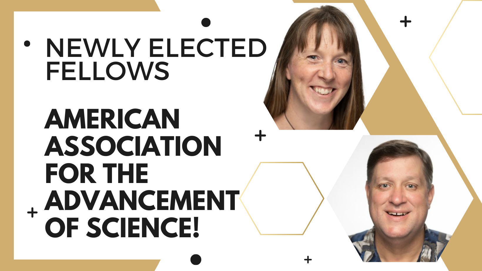 David Cliffel & Janet Macdonald elected AAAS fellows