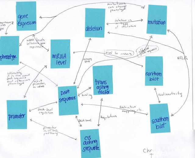 Student Concept map 2