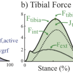 FIG3