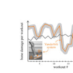 25_workouts_damage