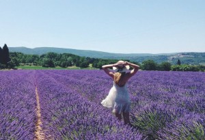 Summer in Provence